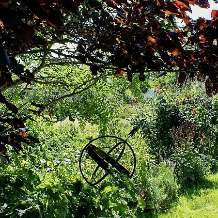 7 Person In Bredebro-by Traum Ballum