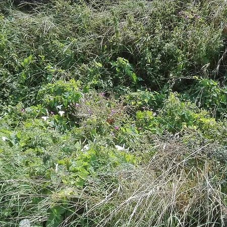 7 Person In Bredebro-by Traum