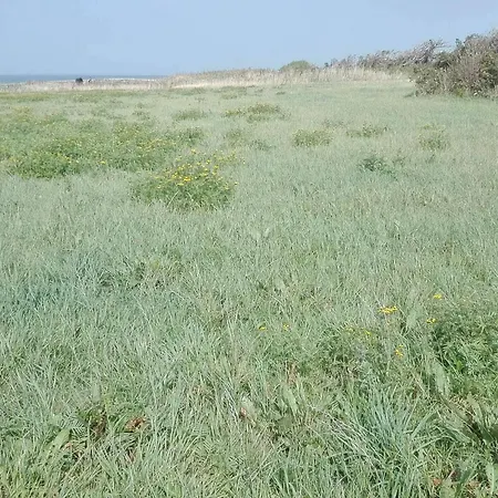 Ferienhaus 7 Person In Bredebro-by Traum