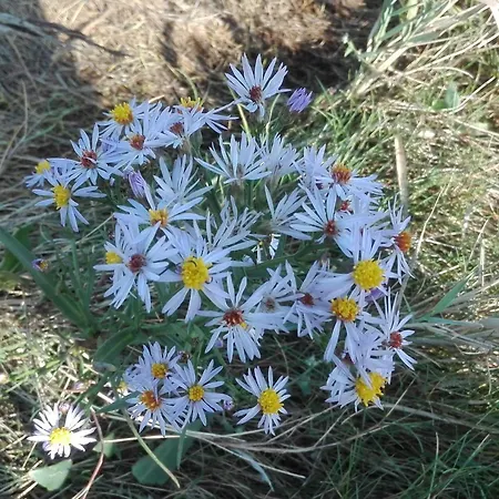 7 Person In Bredebro-by Traum *