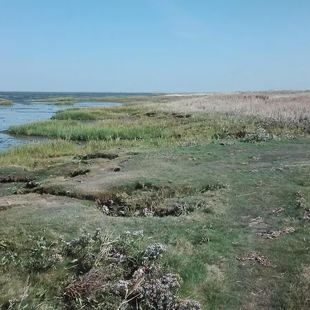 7 Person In Bredebro-by Traum