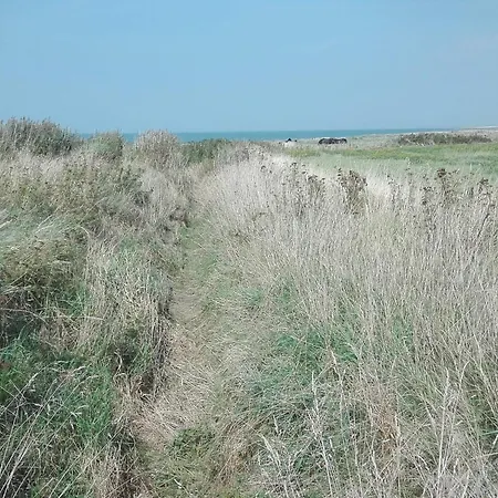 7 Person In Bredebro-by Traum Ferienhaus *