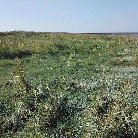 7 Person In Bredebro-by Traum *