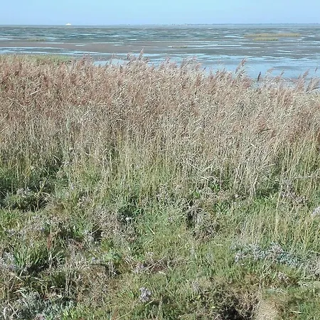 7 Person In Bredebro-by Traum * Ballum